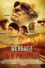 Watch Revenge Is a Promise Putlocker