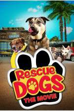 Watch Rescue Dogs Putlocker