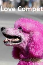 Watch The Love Competition Putlocker
