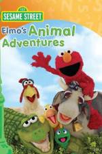 Watch Elmos Animal Adventures Putlocker