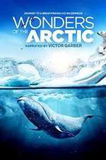 Watch Wonders of the Arctic 3D Putlocker