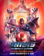 Watch Crisis on Infinite Earths Putlocker