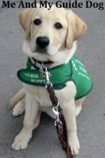 Watch Me And My Guide Dog Putlocker
