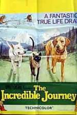 Watch The Incredible Journey Putlocker