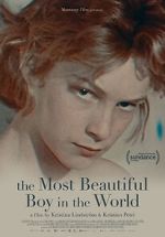 Watch The Most Beautiful Boy in the World Putlocker