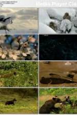 Watch National Geographic: Japans Hidden Secrets Putlocker