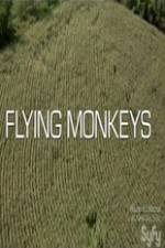 Watch Winged Terror Putlocker