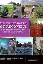Watch The Secret World of Recovery Putlocker