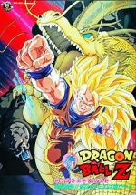 Watch Dragon Ball Z: Wrath of the Dragon Putlocker