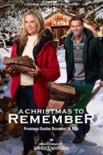 Watch A Christmas to Remember Putlocker