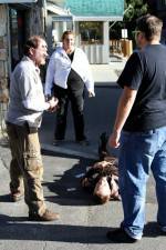 Watch Dead Stop Putlocker