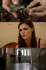 Watch How Drugs Work: Cannabis Putlocker