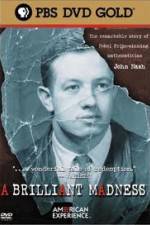 Watch A Brilliant Madness Putlocker