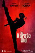 Watch The Karate Kid Putlocker