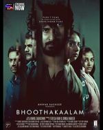 Watch Bhoothakaalam Putlocker
