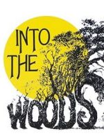 Watch Into the Woods Putlocker