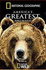 Watch America's Greatest Animals Putlocker