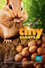 Watch Tiny Giants 3D Putlocker