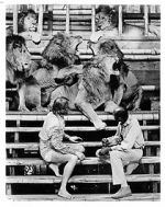 Watch Roar: The Most Dangerous Movie Ever Made Putlocker