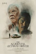 Watch The Accidental Getaway Driver Putlocker