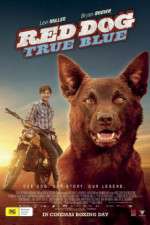 Watch Red Dog True Blue Putlocker