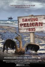 Watch Saving Pelican 895 (Short 2011) Putlocker