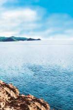 Watch Intent Putlocker