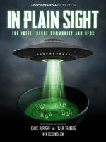 Watch In Plain Sight: The Intelligence Community and UFOs Putlocker