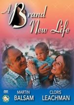 Watch A Brand New Life Putlocker