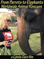 Watch From Parrots to Elephants: Worldwide Animal Rescues Putlocker