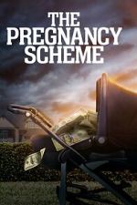 Watch The Pregnancy Scheme Putlocker