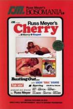 Watch Cherry Harry & Raquel Putlocker