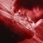 Watch We All Poop: All the Blood Putlocker