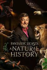 Watch Fantastic Beasts: A Natural History Putlocker