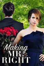 Watch Making Mr. Right Putlocker