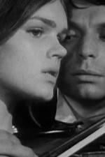 Watch Pavoncello Putlocker