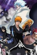 Watch Bleach: The Diamond Dust Rebellion Putlocker