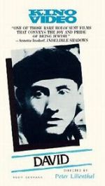 Watch David Putlocker