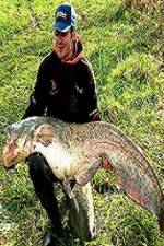 Watch Viking Expedition Putlocker