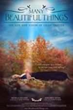 Watch Many Beautiful Things Putlocker
