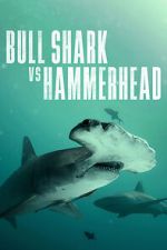 Watch Bull Shark vs Hammerhead Putlocker