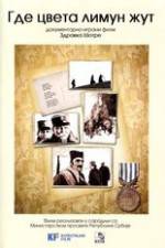 Watch Where the Yellow Lemon Blooms Putlocker