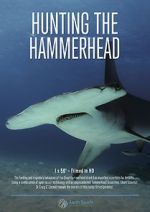 Watch Hunting the Hammerhead Putlocker