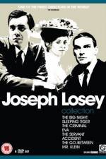 Watch The Big Night Putlocker