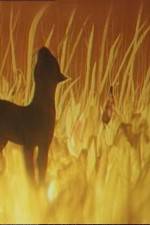 Watch The Cat Who Walked by Herself Putlocker