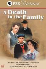 Watch A Death in the Family Putlocker