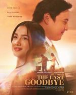 Watch The Last Goodbye Putlocker