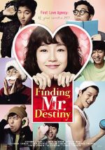 Watch Finding Mr. Destiny Putlocker