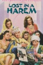 Watch Lost in a Harem Putlocker