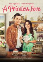 Watch A Priceless Love Putlocker